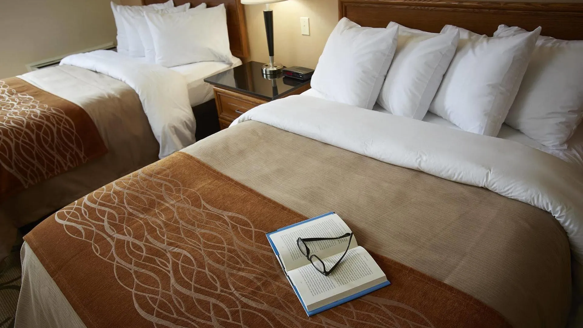 וויניפג Comfort Inn South