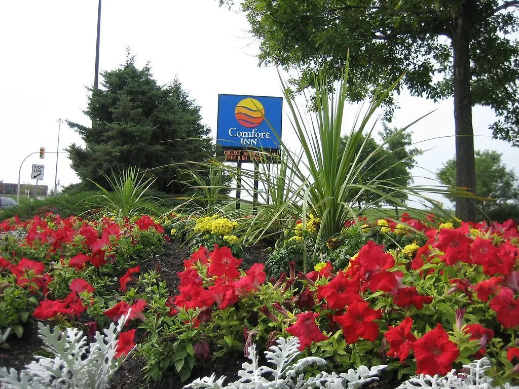 Comfort Inn South Winnipeg
